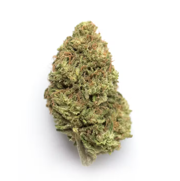 Rainbow Gelato - Hybrid