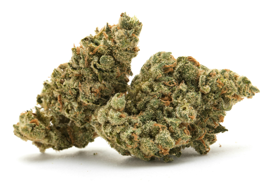 White Gumbo - Indica