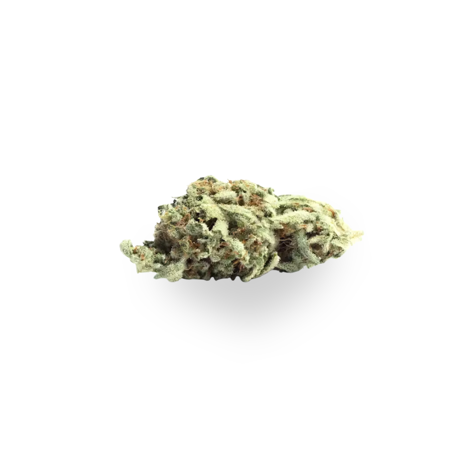 Silver Haze - Sativa