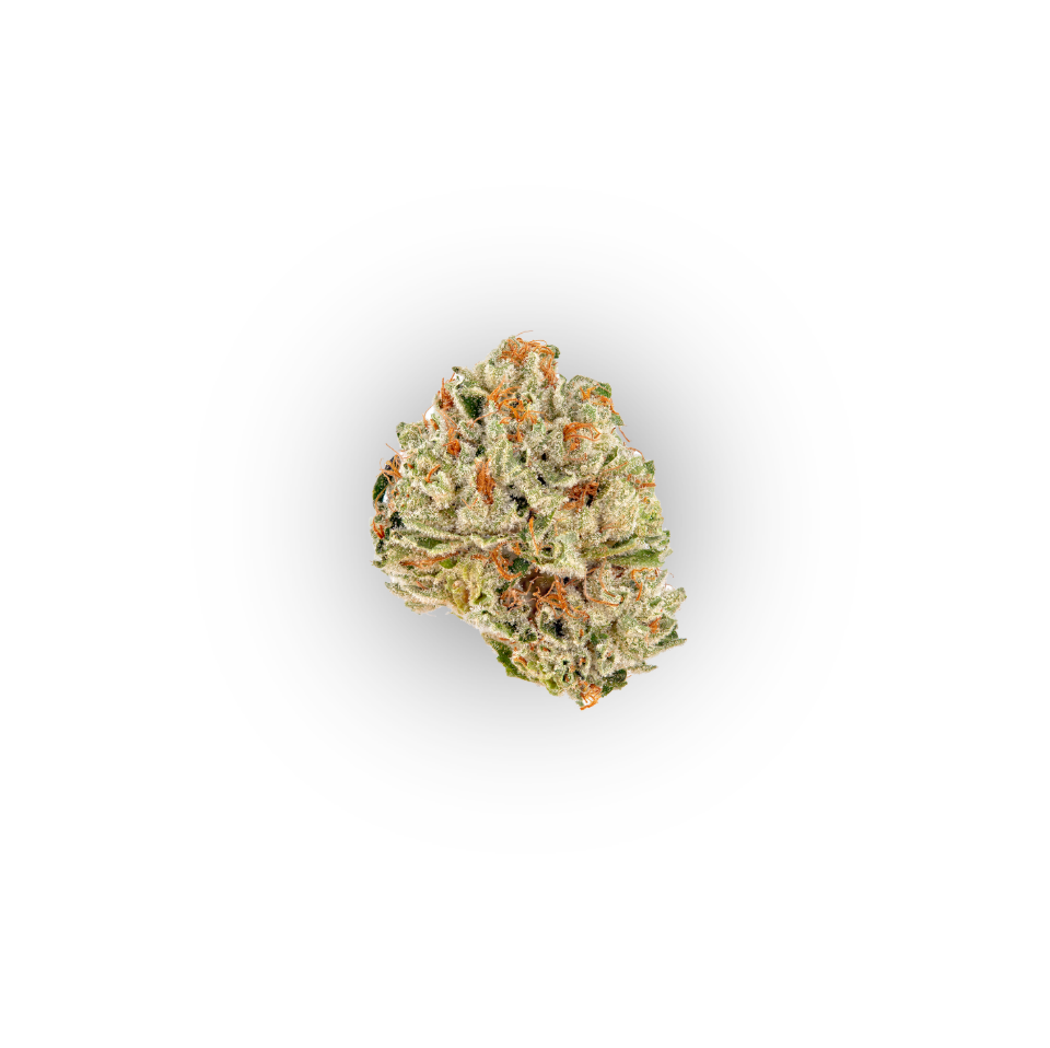French Toast - Hybrid