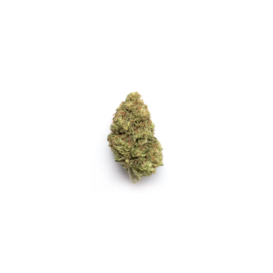 Rainbow Gelato - Hybrid