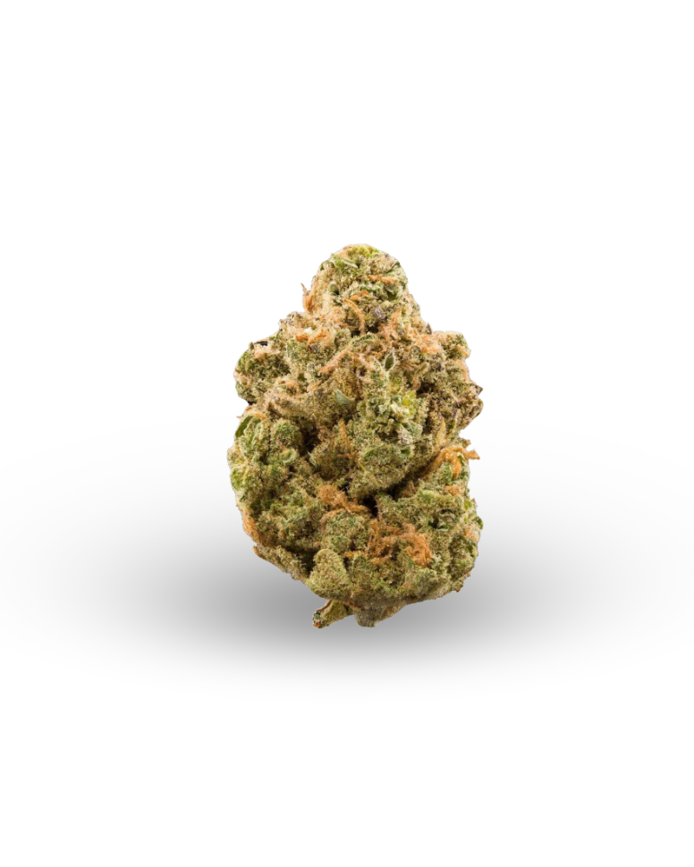Purple Gelato - Hybrid