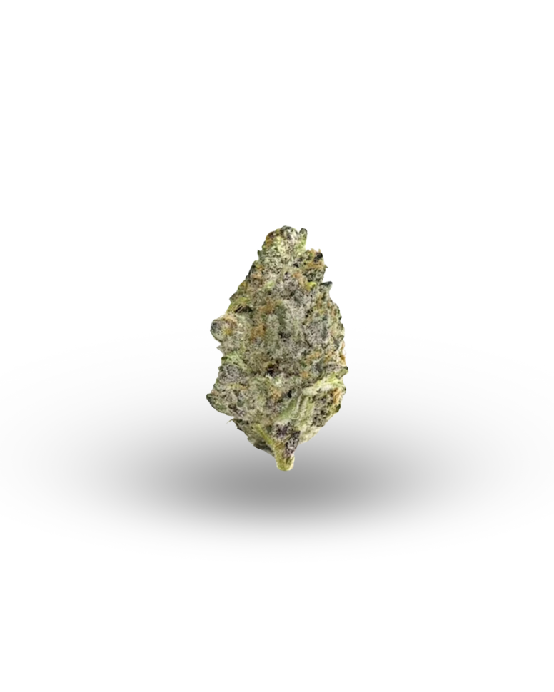 Super Boof - Hybrid