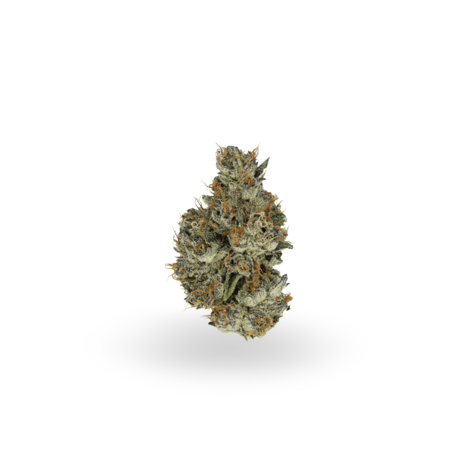 Grape God - Indica