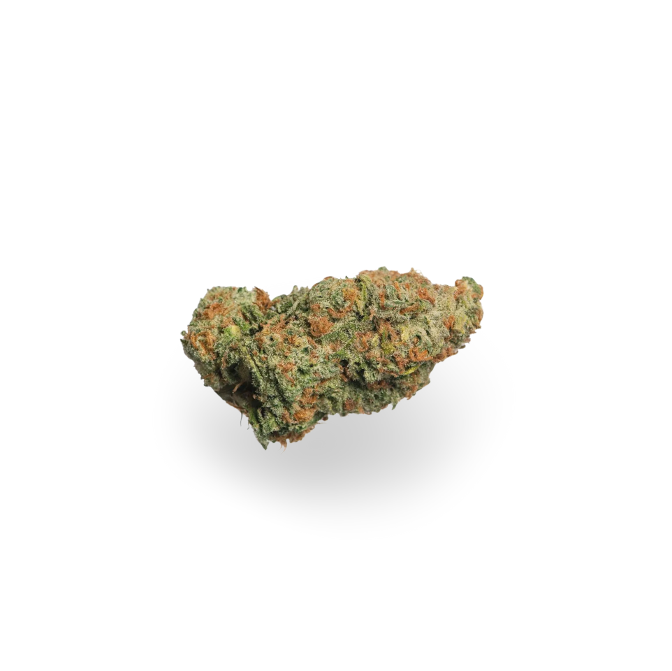 Papaya - Hybrid