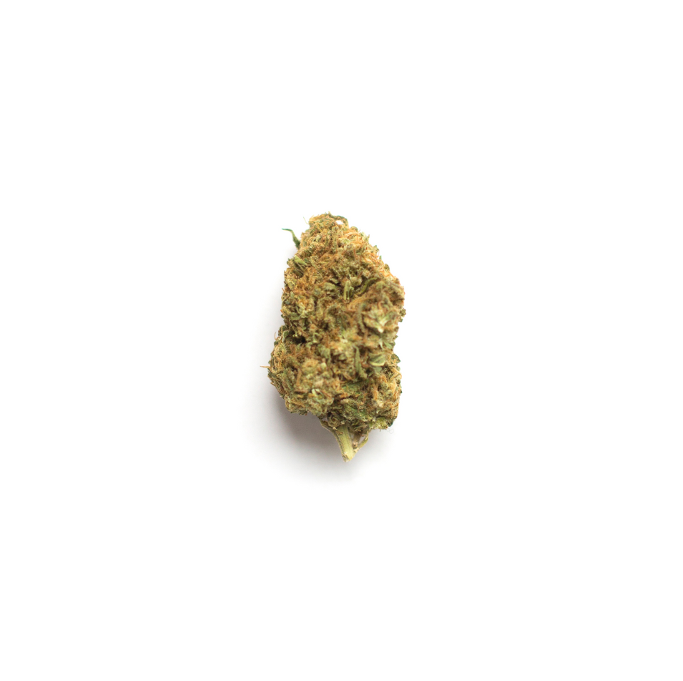 Ice Cream Cake - Hybrid