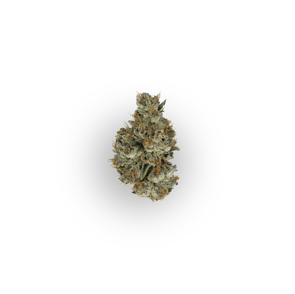 LA Runtz - Hybrid