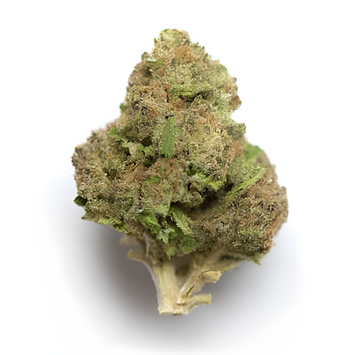 Green Slime - Hybrid